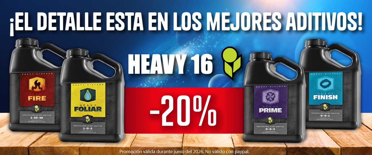 img slide