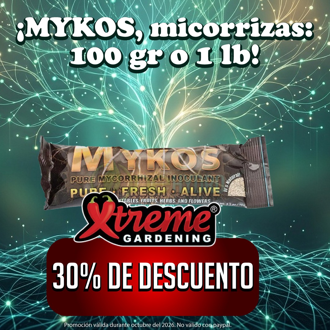 img slide