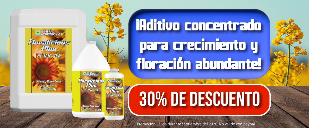 img slide