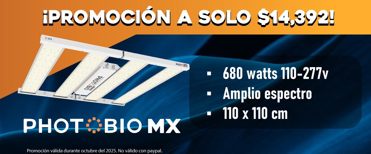 img slide